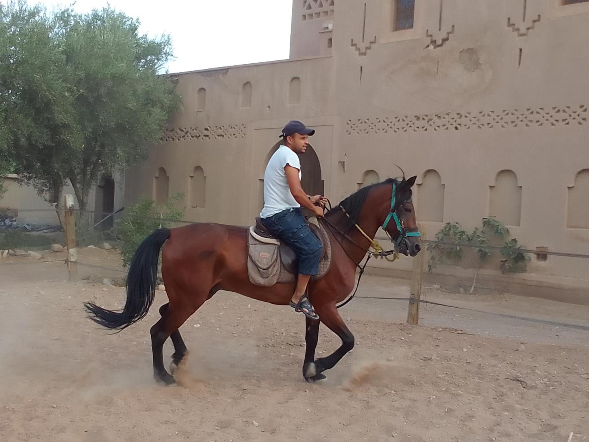 Kasbah Dar Dmana 호텔 스쿠라 외부 사진